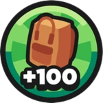 +100 Storage