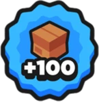 +100 Storage