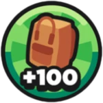 +100 Storage