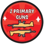 2 Primary Guns