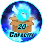 +20 Capacity