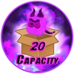 +20 Capacity