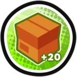 +20 Storage