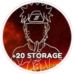 +20 Storage