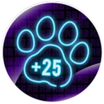 +25 Pet Slots