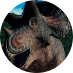 [-25% PRE-ORDER] Triceratops.