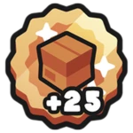 +25 Storage