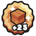 +25 Storage