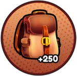 +250 Storage