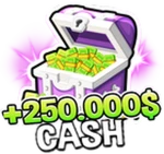 +250k Cash