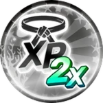 2x Belt XP