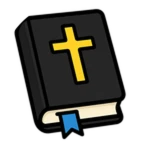 2x Bibles