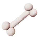 2x Bones