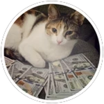 2x Cash