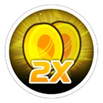 2X Coins