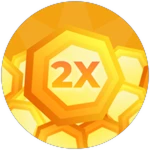 2X Coins