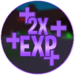 2X EXP