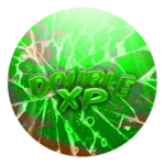 2x EXP