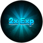 2x Exp