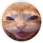 2x Followers