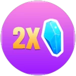 2X Multiplier