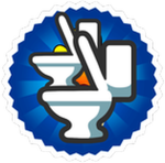 2X Toilets