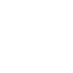 2x Walkspeed