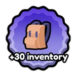 +30 Inventory