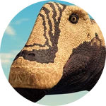 [-40% PRE-ORDER] Dreadnoughtus.
