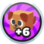 +6 Pets