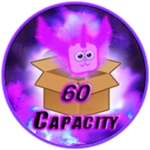 +60 Capacity