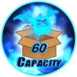 +60 Capacity