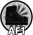 Air Forcers