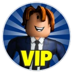 Airport VIP