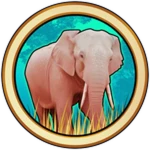 Albino Elephant