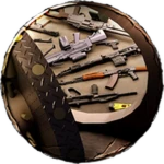 All Guns Access!