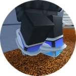 AllSkates
