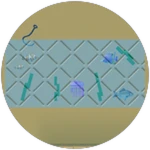 Aqua Glass