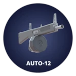 AUTO-12
