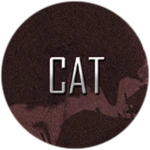 Become Cartoon Cat
