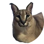 big floppa donation