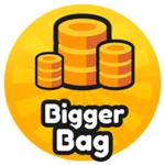 Bigger Coin Bag