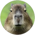 Capybara