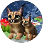 Caracal Pass