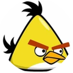 Chuck