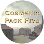 Cosmetic Pack Five