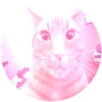 Custom chat tag