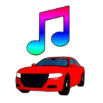 Custom Radio