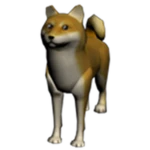 Doge