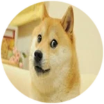 doge